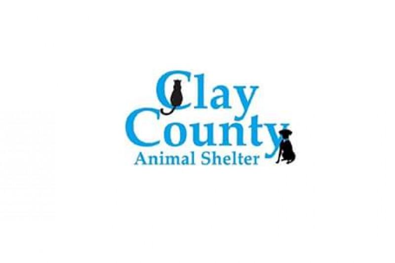 Clay County Animal Shelter