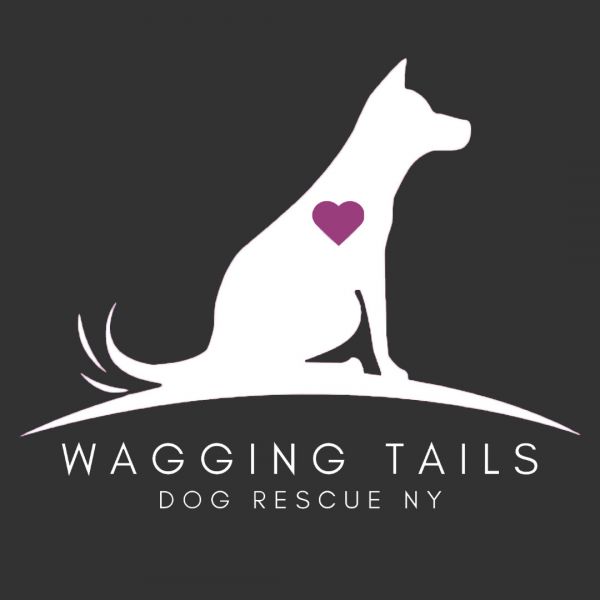 Wagging Tails Dog Rescue NY