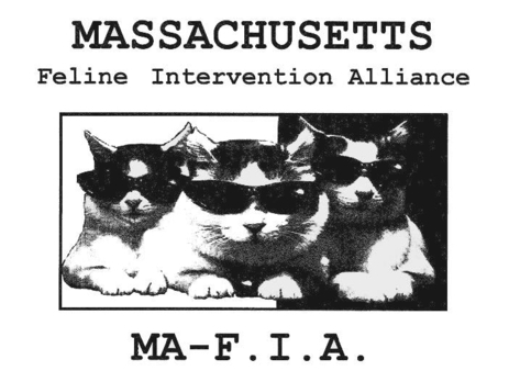 Massachusetts Feline Intervention Alliance