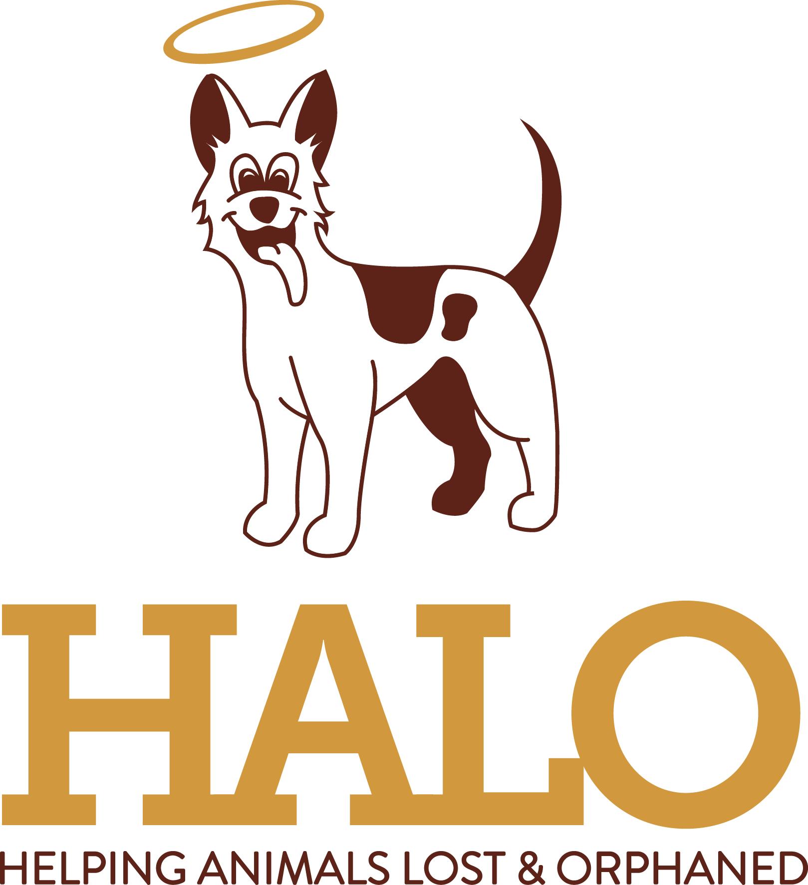Pets for Adoption at HALO, in Xenia, OH | Petfinder