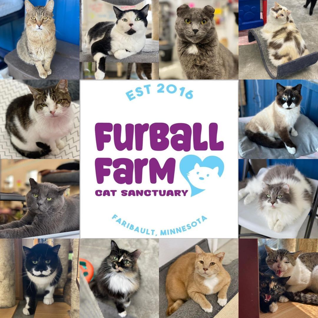 Furball Farm Pet Sanctuary