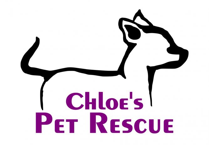 Chloe's Pet Rescue