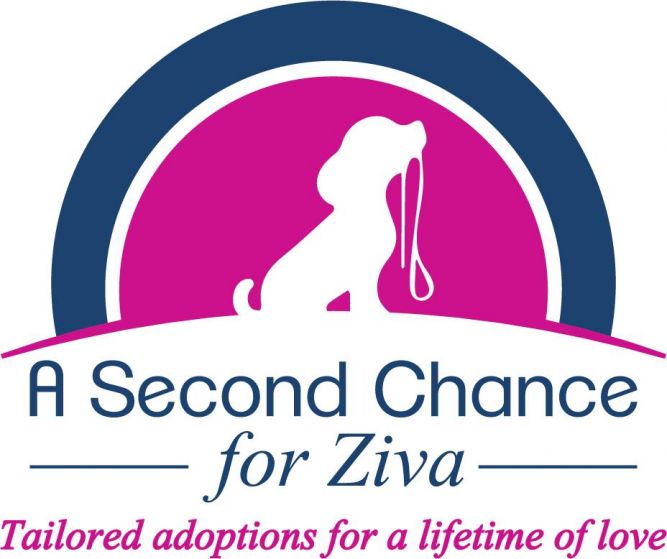 Ziva Dog Rescue