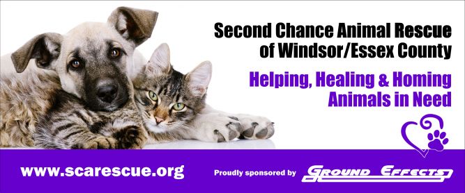 Second Chance Animal Rescue-Windsor/Essex County