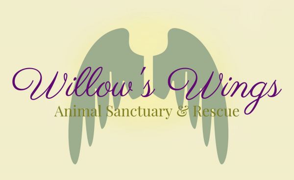 Willow's Wings