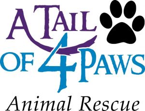 A Tail of 4 Paws