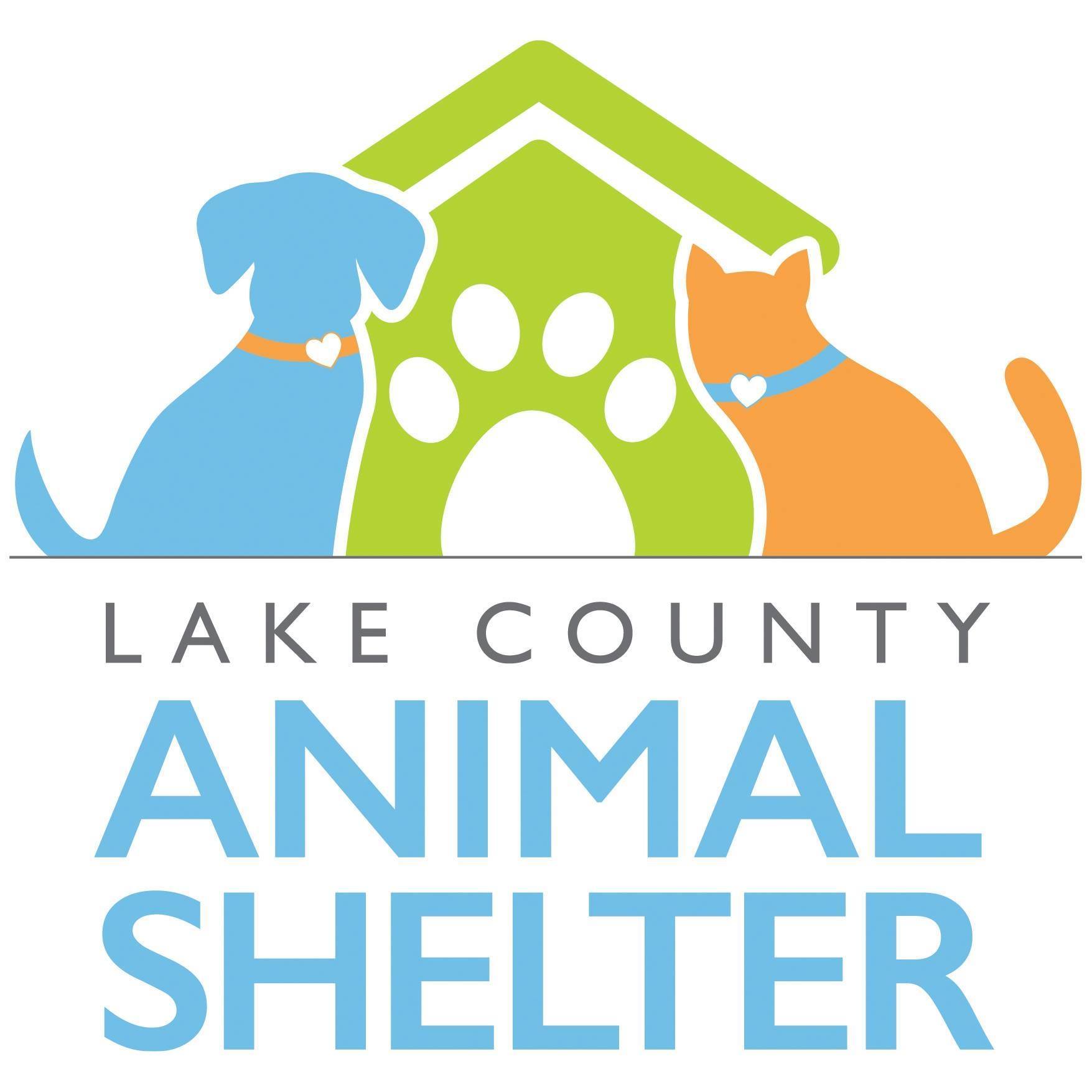Pets for Adoption at Lake County Animal Shelter in Tavares FL Petfinder