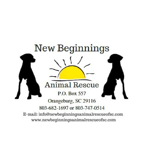 New beginnings animal store rescue near me