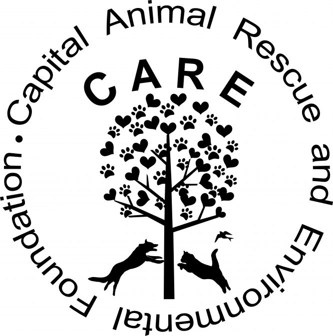 Capital Animal Rescue and Environmental Foundation