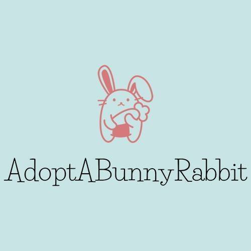 Adopt A Bunny Rabbit Rescue