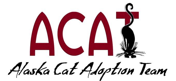 Cat Adoption Team