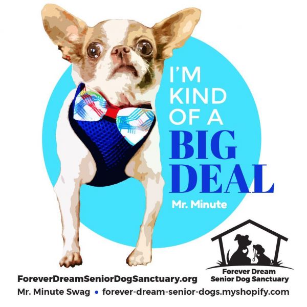 Forever Dream Senior Dog Sanctuary