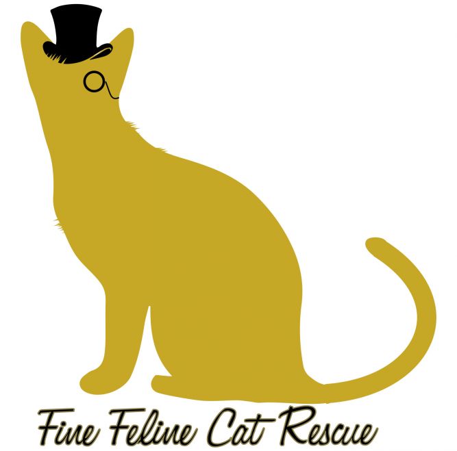 Fine Feline Cat Rescue