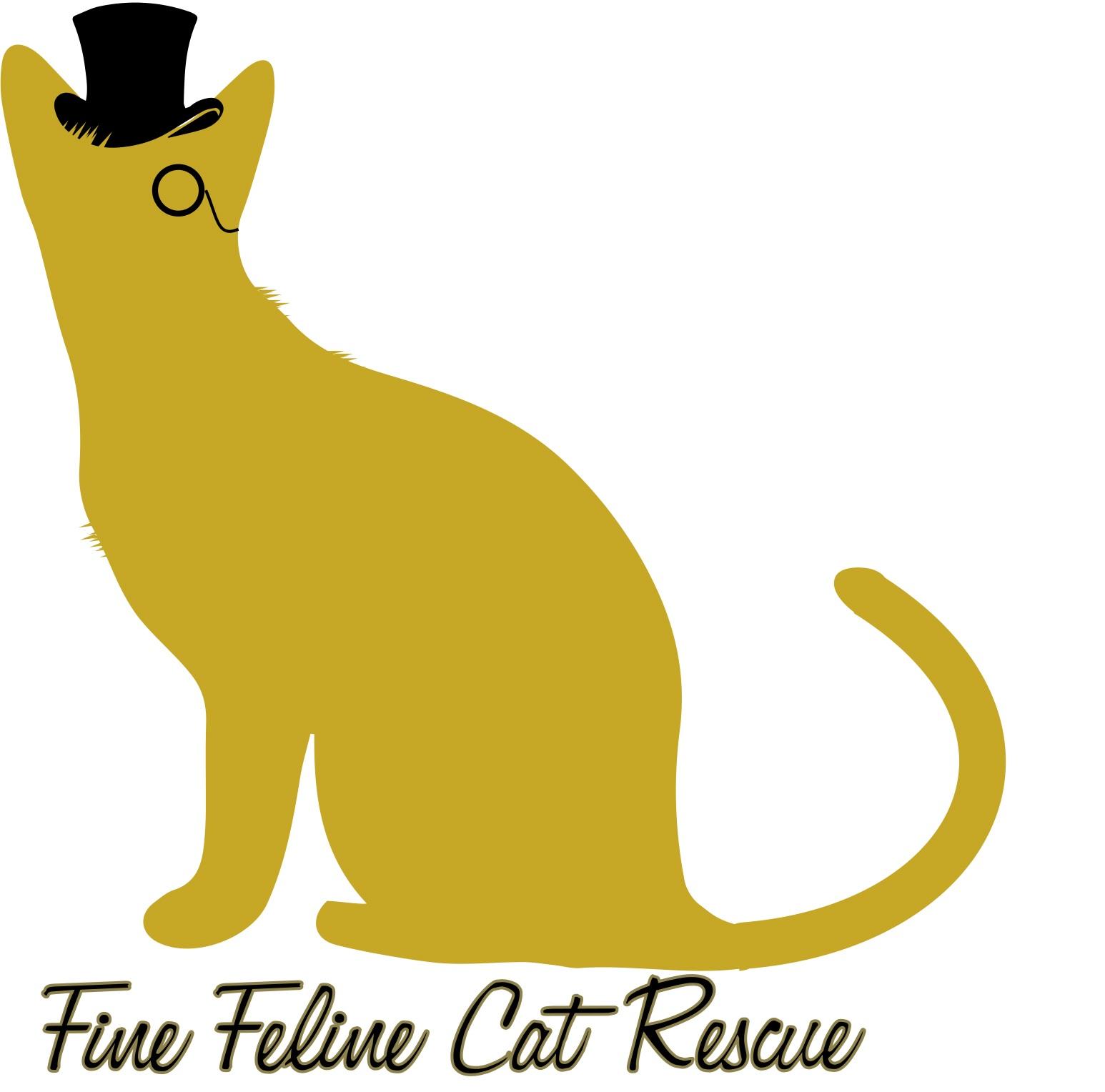 Feline store cat rescue