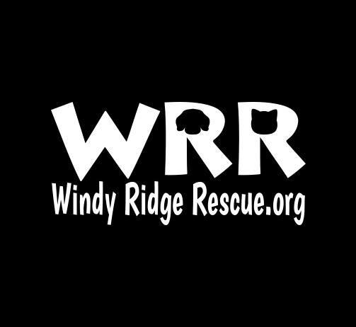 Windy Ridge Rescue