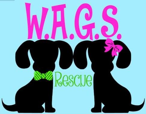 WAGS Rescue