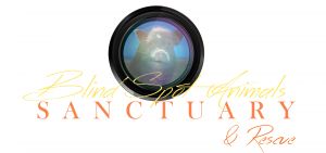 Blind Spot Animals Sanctuary