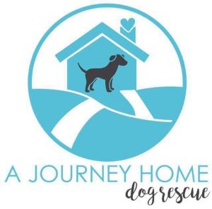 A Journey Home