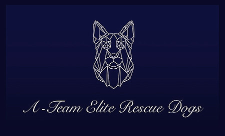 A-Team ELITE Rescue Dogs