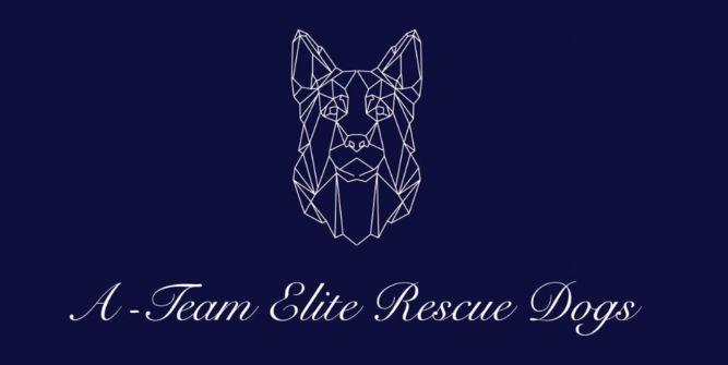 A-Team ELITE Rescue Dogs