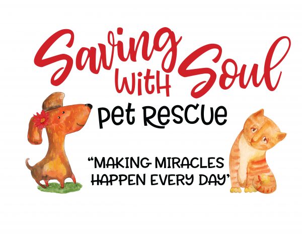 Saving with Soul Pet Rescue, Inc.