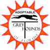 Adoptable Greythounds of Florida Inc.