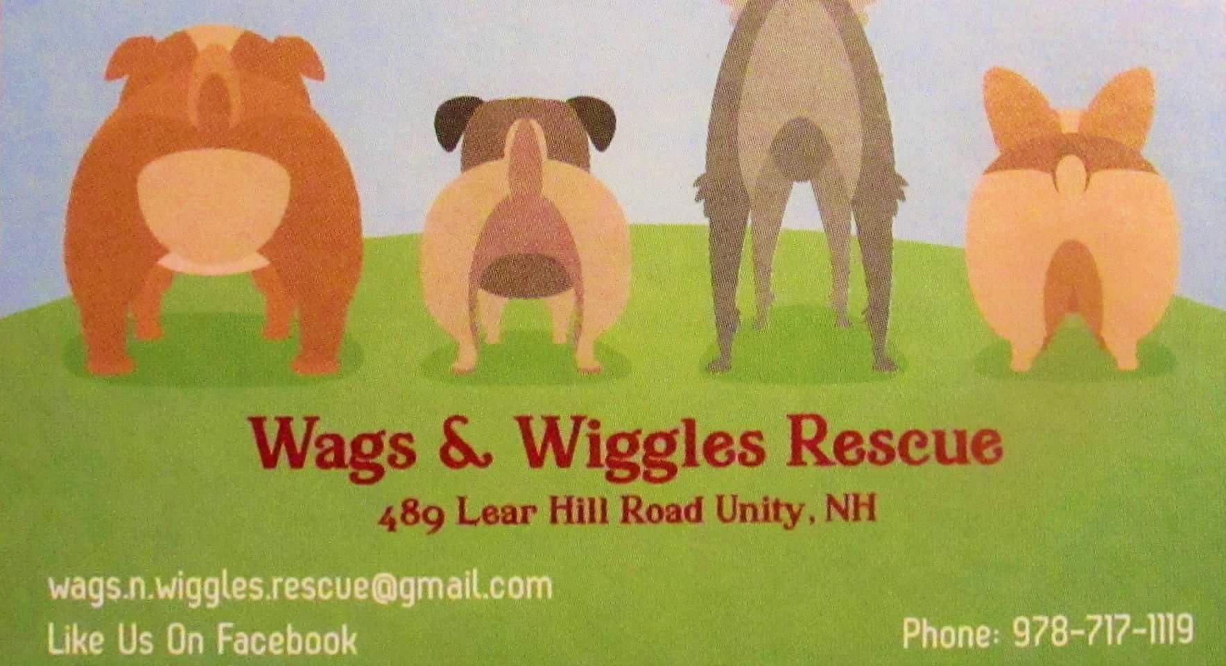 Donate — Wags And Wiggles Dog Rescue