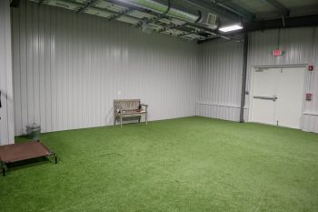 Darbster Doggy facility in Chichester, NH