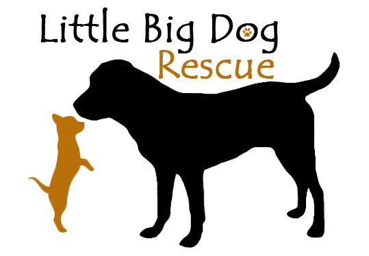 Little Big Dog Rescue