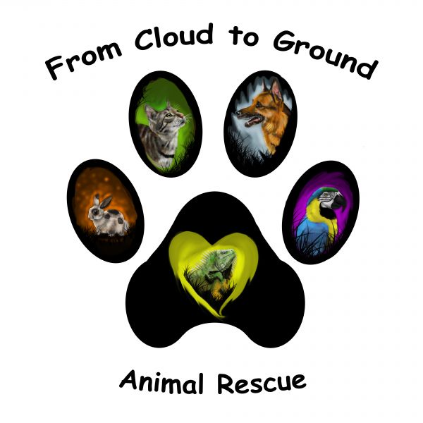 From Cloud to Ground Animal Rescue