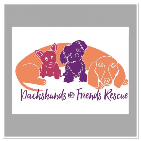 Dachshunds and Friends Rescue