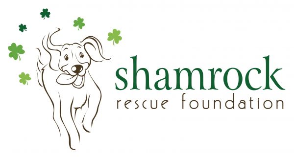 Shamrock Rescue Foundation