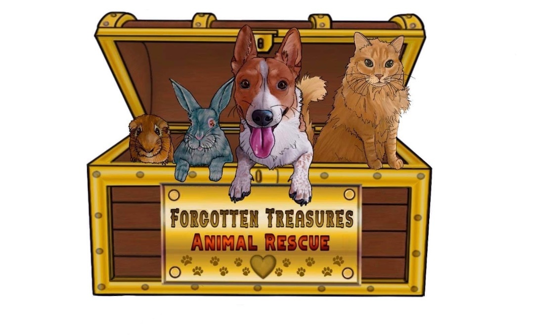 Forgotten Treasures Animal Rescue