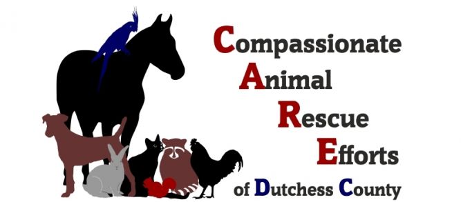 Compassionate Animal Rescue of Dutchess County