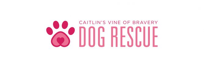 Caitlin's Vine Of Bravery