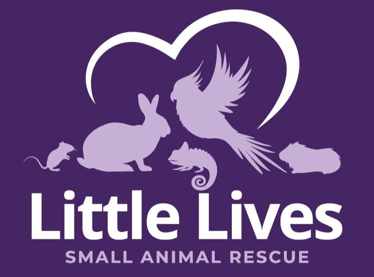 Little Lives Small Animal Rescue 