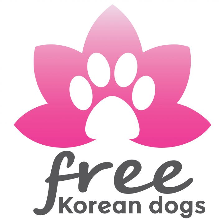 Pets for Adoption at Free Korean Dogs , in Toronto, ON Petfinder