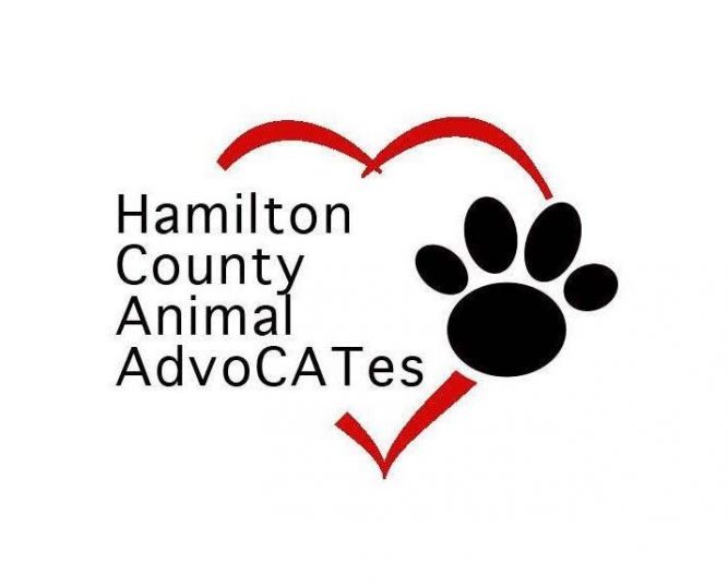 Hamilton County Animal Advocates