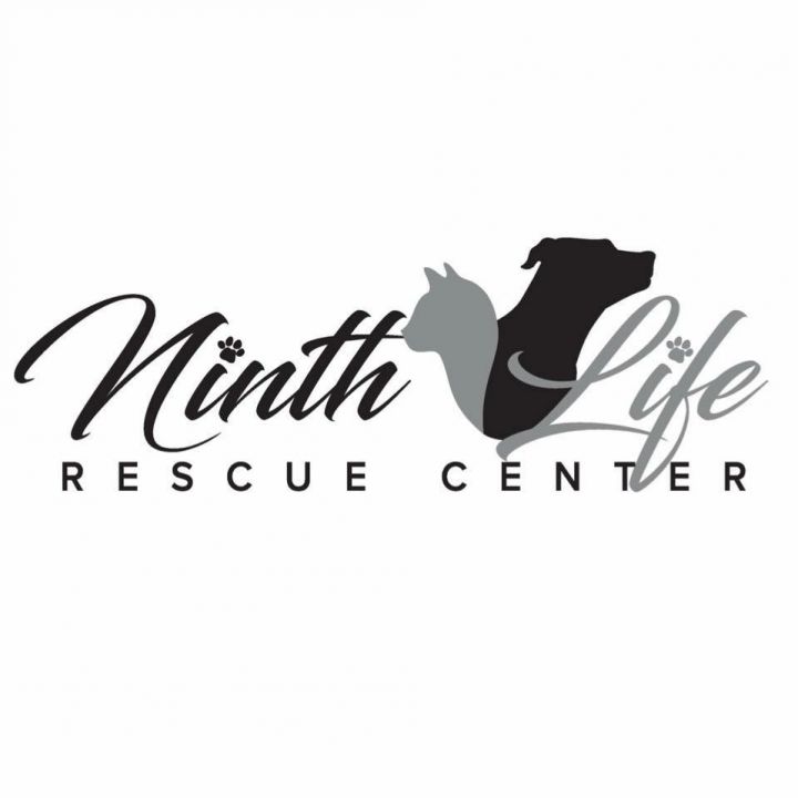 Pets for Adoption at Ninth Life Rescue Center, in Greensburg, PA