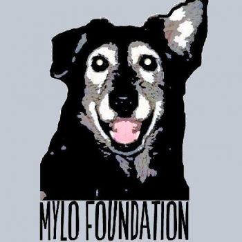 The Mylo Foundation