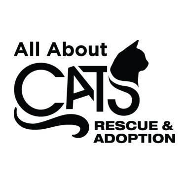 All About Cats Inc