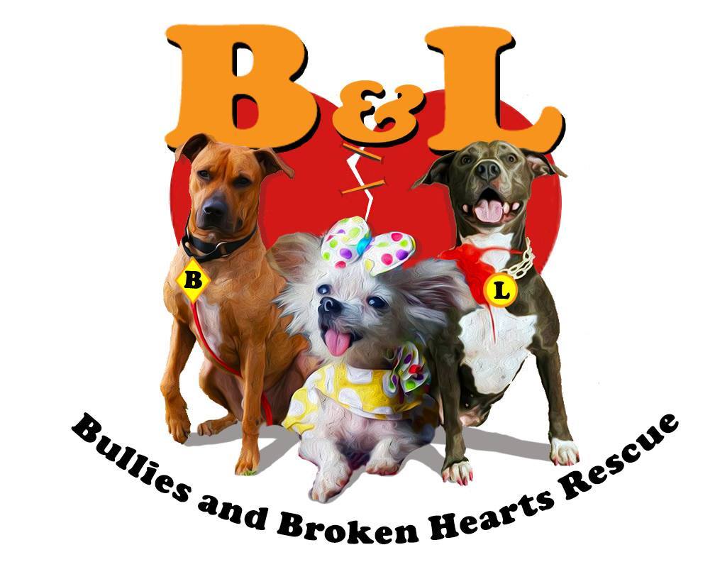 B and L Bullies and Broken Hearts Rescue