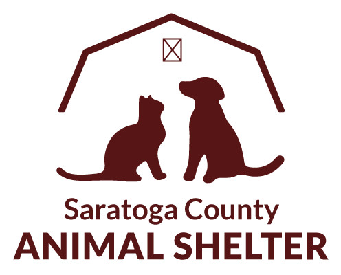 Pets for Adoption at Saratoga County Animal Shelter, in Ballston Spa