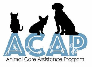Animal Care Assistance Program (ACAP)