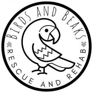 Birds & Beaks Rescue and Rehab 