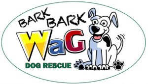 Bark Bark Wag Dog Rescue
