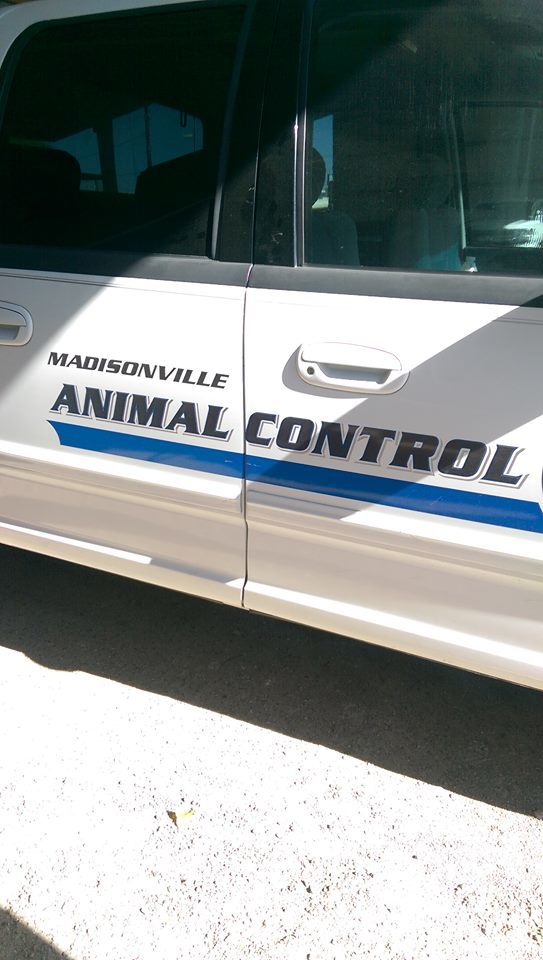 Madisonville Animal Control