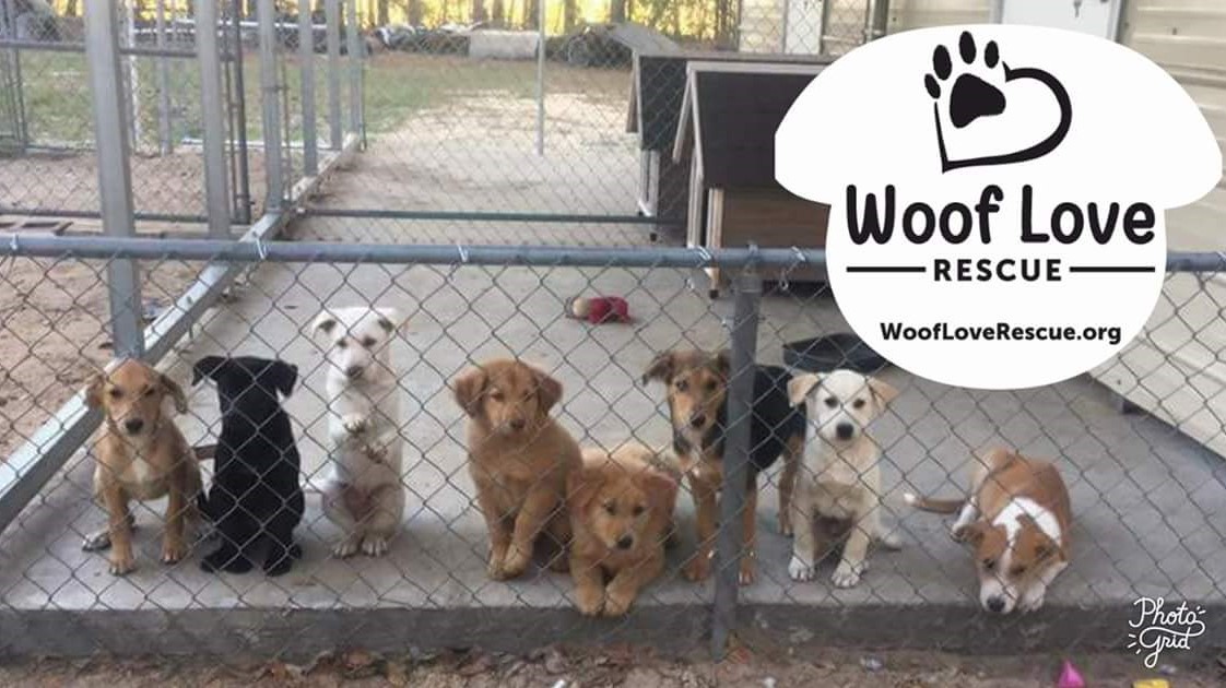 Woof Love Animal Rescue, Inc