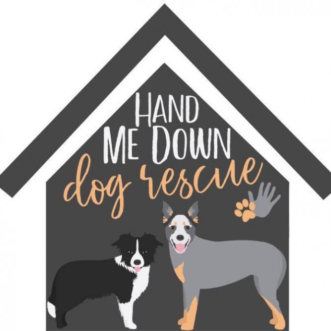 Hand Me Down Dog Rescue 