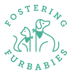 The Life of Fostering Furbabies Animal Rescue
